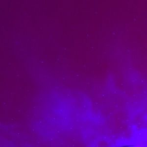 Meet your Posher, Shannen